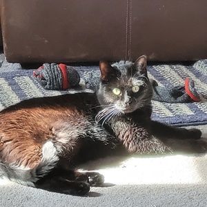 Meet your Posher, Julie